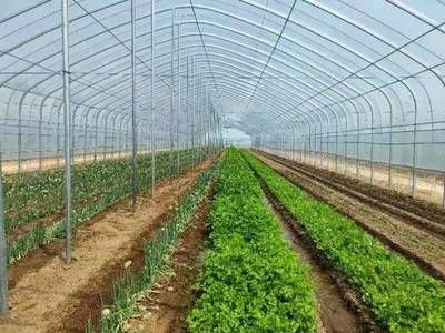 星之星商用冷柜一檔為什么是零下七度(星之星商用冷柜在一檔運(yùn)行時(shí)溫度設(shè)定為零下七度) 北京鋼結(jié)構(gòu)設(shè)計(jì)問答 星之星商用冷柜一檔為什么是零下七度(星之星商用冷柜在一檔運(yùn)行時(shí)溫度設(shè)定為零下七度) 北京鋼結(jié)構(gòu)設(shè)計(jì)問答