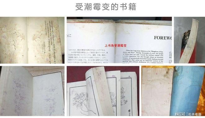 幕墻鋼型材厚度規(guī)范（如何根據(jù)幕墻鋼型材的厚度來選擇合適的材料？）