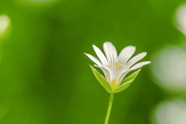 鋼結(jié)構(gòu)安裝多少錢一天 結(jié)構(gòu)工業(yè)裝備設(shè)計(jì) 第3張