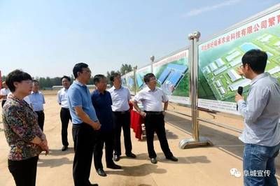 阜城鋼結(jié)構(gòu)有限公司(阜城縣有兩家主要的鋼結(jié)構(gòu)公司) 鋼結(jié)構(gòu)跳臺(tái)施工 第5張 阜城鋼結(jié)構(gòu)有限公司(阜城縣有兩家主要的鋼結(jié)構(gòu)公司) 鋼結(jié)構(gòu)跳臺(tái)施工 第5張