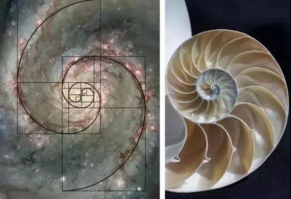 螺旋樓梯平面圖cad（尋找螺旋樓梯平面圖的cad資源您可以參考以下幾個來源） 結構砌體施工 第2張