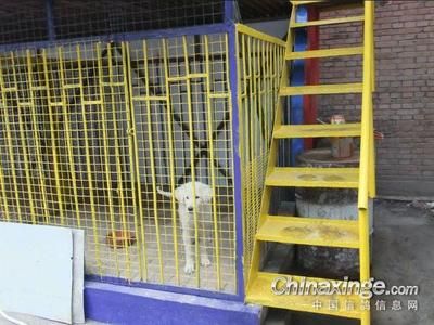 鋼結(jié)構(gòu)平房多少錢一平方 鋼結(jié)構(gòu)鋼結(jié)構(gòu)停車場(chǎng)施工 第4張