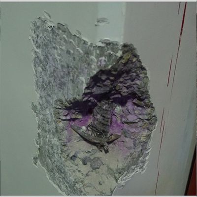 承重墻評估公司 北京鋼結(jié)構(gòu)設(shè)計 第4張 承重墻評估公司 北京鋼結(jié)構(gòu)設(shè)計 第4張