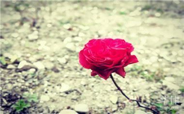 立體倉庫控制系統(tǒng)設(shè)計（立體倉庫控制系統(tǒng)設(shè)計中如何處理不同尺寸和重量貨物的存儲需求） 北京鋼結(jié)構(gòu)設(shè)計問答