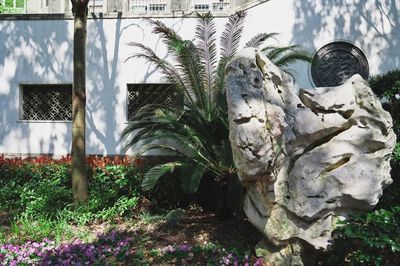 冷庫(kù)需要哪些資料和手續(xù)和費(fèi)用（關(guān)于冷庫(kù)建設(shè)的問(wèn)題） 北京鋼結(jié)構(gòu)設(shè)計(jì)問(wèn)答