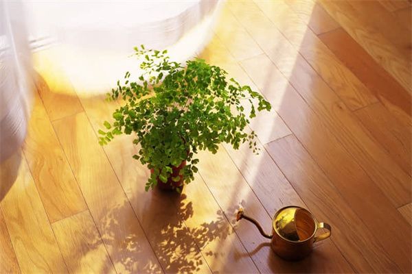 鋼結(jié)構(gòu)住房是什么樣子的 全國鋼結(jié)構(gòu)廠 第2張 鋼結(jié)構(gòu)住房是什么樣子的 全國鋼結(jié)構(gòu)廠 第2張