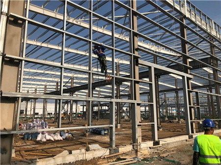 伊犁 馬蜂窩（伊犁的馬蜂窩可以食用嗎，伊犁的馬蜂窩對環(huán)境有什么影響） 北京鋼結(jié)構(gòu)設(shè)計問答