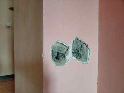 西寧led透明玻璃幕墻廠家聯(lián)系電話（西寧led透明玻璃幕墻廠家有哪些主要的產(chǎn)品特點(diǎn)？）