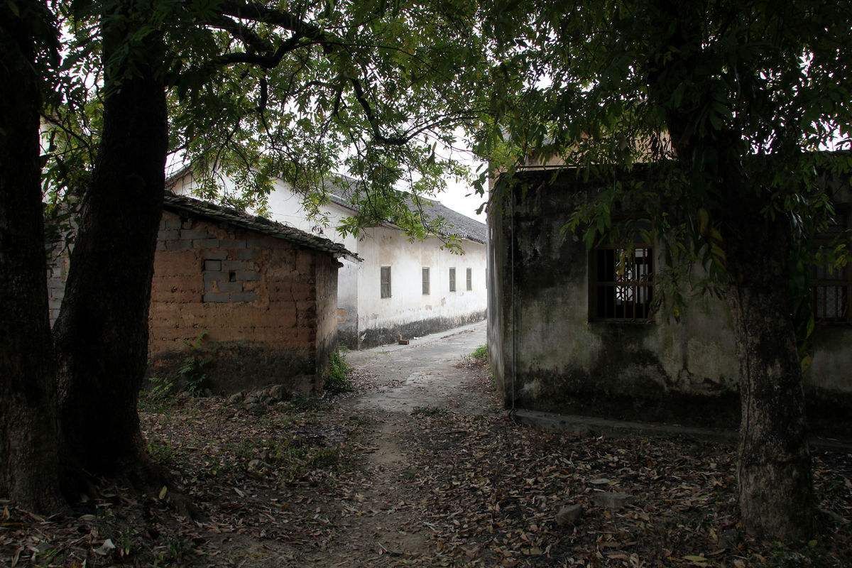 農(nóng)村土房地基加固圖片 結(jié)構(gòu)橋梁鋼結(jié)構(gòu)設(shè)計(jì) 第1張