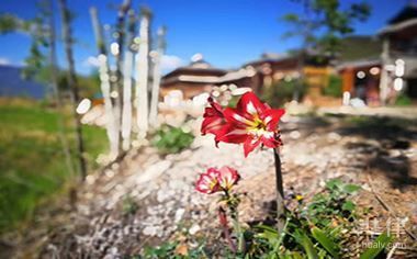 北京舊房改造政策規(guī)定文件 結構污水處理池設計 第4張