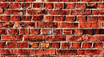 學(xué)?；▓@簡筆畫圖片大全大圖（學(xué)?；▓@的簡筆畫圖片大全包含哪些類型的植物） 北京鋼結(jié)構(gòu)設(shè)計(jì)問答