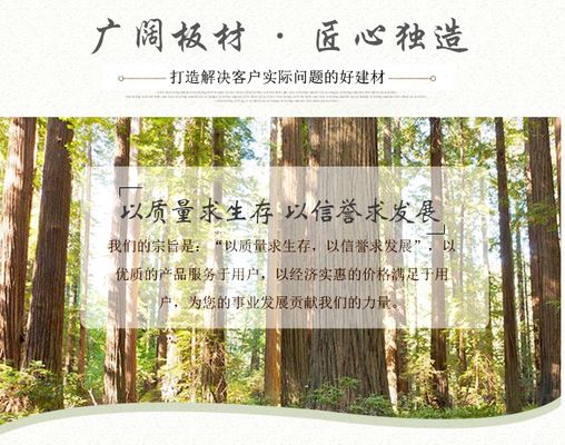 北京板房生產(chǎn)廠家地址在哪里 結(jié)構(gòu)框架施工 第2張