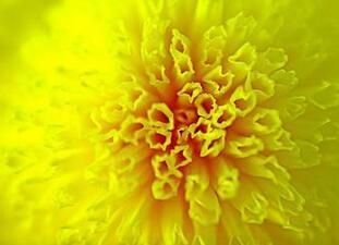 鋼結(jié)構(gòu)創(chuàng)意設(shè)計(jì)（鋼結(jié)構(gòu)創(chuàng)意設(shè)計(jì)課程報(bào)名指南） 建筑施工圖施工 第5張