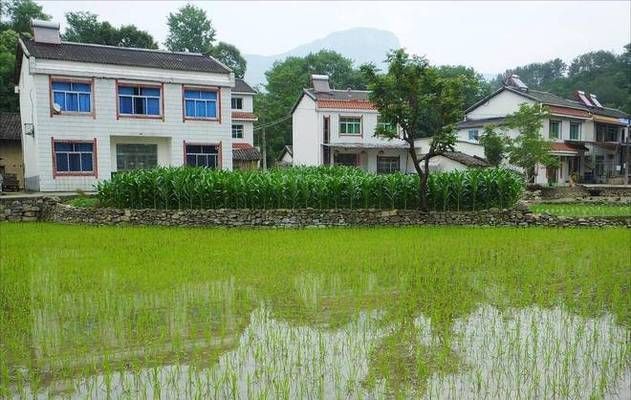 北京房屋改建最新政策解讀（北京市房屋改建政策涵蓋了多個(gè)方面促進(jìn)城市發(fā)展和居民生活質(zhì)量的提升） 鋼結(jié)構(gòu)跳臺(tái)設(shè)計(jì) 第5張