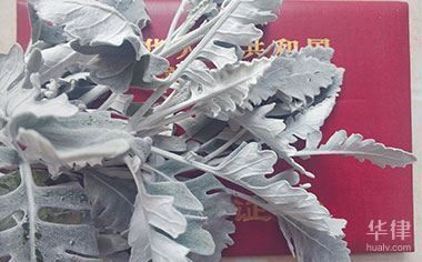 北京違規(guī)別墅項(xiàng)目（北京小產(chǎn)權(quán)別墅現(xiàn)狀如何？） 建筑消防設(shè)計(jì) 第2張