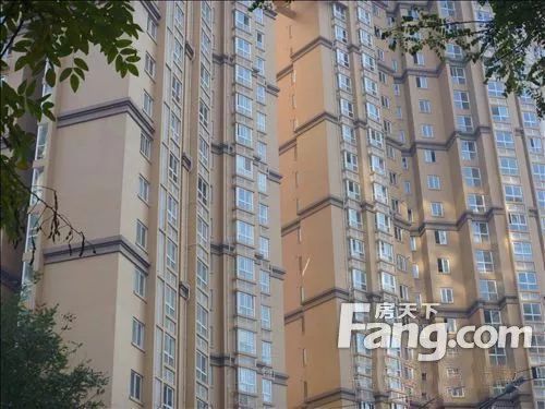 北京的板樓和塔樓的區(qū)別是什么 結(jié)構(gòu)電力行業(yè)施工 第3張 北京的板樓和塔樓的區(qū)別是什么 結(jié)構(gòu)電力行業(yè)施工 第3張