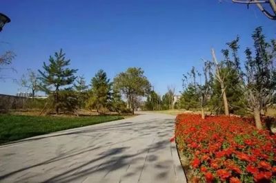 冷庫(kù)設(shè)計(jì)符合國(guó)家相關(guān)標(biāo)準(zhǔn)要求是什么內(nèi)容(冷庫(kù)設(shè)計(jì)中如何確保溫度控制準(zhǔn)確性和穩(wěn)定性和穩(wěn)定性) 北京鋼結(jié)構(gòu)設(shè)計(jì)問(wèn)答 冷庫(kù)設(shè)計(jì)符合國(guó)家相關(guān)標(biāo)準(zhǔn)要求是什么內(nèi)容(冷庫(kù)設(shè)計(jì)中如何確保溫度控制準(zhǔn)確性和穩(wěn)定性和穩(wěn)定性) 北京鋼結(jié)構(gòu)設(shè)計(jì)問(wèn)答