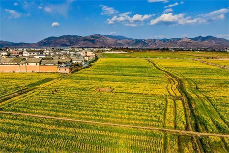 承重墻的加固措施有幾種類型 北京加固施工 第1張