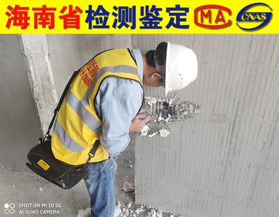 專門檢測(cè)承重墻的機(jī)構(gòu)有哪些（專門檢測(cè)承重墻的機(jī)構(gòu)） 結(jié)構(gòu)地下室設(shè)計(jì) 第1張