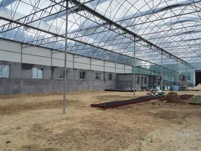 鋼結(jié)構(gòu)餐廳造價(jià) 結(jié)構(gòu)框架設(shè)計(jì) 第2張