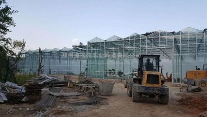 鋼結(jié)構(gòu)餐廳造價(jià) 結(jié)構(gòu)框架設(shè)計(jì) 第5張