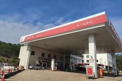 加油站罩棚設(shè)計規(guī)定(加油站罩棚的設(shè)計規(guī)定) 鋼結(jié)構(gòu)蹦極設(shè)計 第5張 加油站罩棚設(shè)計規(guī)定(加油站罩棚的設(shè)計規(guī)定) 鋼結(jié)構(gòu)蹦極設(shè)計 第5張