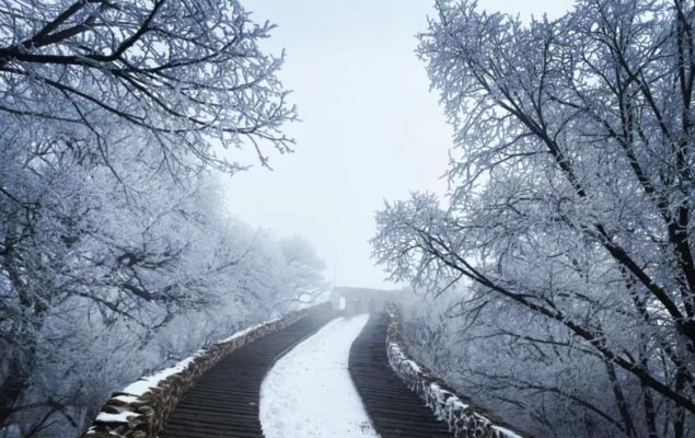 老小區(qū)拆了60平米怎么賠償濟南（濟南老小區(qū)拆除60平米的賠償標準是什么？）