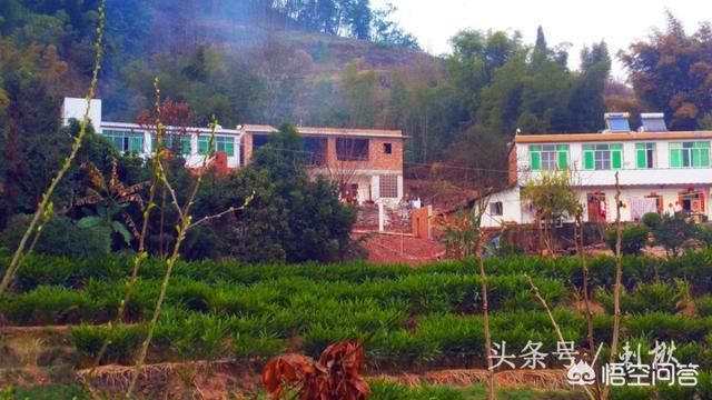 上海彩鋼板廠家 彩鋼板生產(chǎn)廠家（貴公司提供的彩鋼板質(zhì)量如何保證確保每批產(chǎn)品都符合國家相關(guān)標(biāo)準(zhǔn)） 北京鋼結(jié)構(gòu)設(shè)計(jì)問答