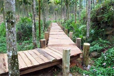 2m寬鋼結(jié)構(gòu)木棧道造價 結(jié)構(gòu)工業(yè)裝備施工 第5張