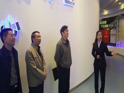 中弘新材料（中弘新材料企業(yè)品牌項目介紹中弘新材料公司市場競爭力分析）