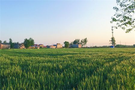 鋼結(jié)構(gòu)柱接長 結(jié)構(gòu)工業(yè)裝備設(shè)計(jì) 第2張