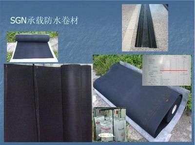 屋頂光伏防水材料有哪些上市公司（屋頂光伏防水材料上市公司） 北京加固設(shè)計（加固設(shè)計公司） 第1張