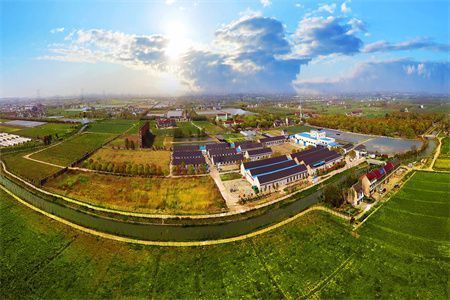 地基下沉解決辦法 鋼結(jié)構蹦極施工 第4張