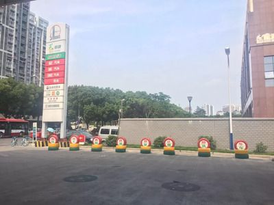 加油站鋼架刷漆多少錢一平方 結(jié)構(gòu)工業(yè)鋼結(jié)構(gòu)設(shè)計 第3張