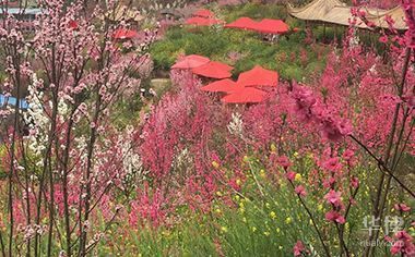 房子里面改造也需要報住建部審批嗎？（農(nóng)村舊房改造審批流程詳解）