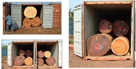 集裝箱裝木材視頻（“集裝箱裝木材視頻”查詢，無法直接提供視頻鏈接信息） 北京鋼結(jié)構(gòu)設(shè)計 第5張