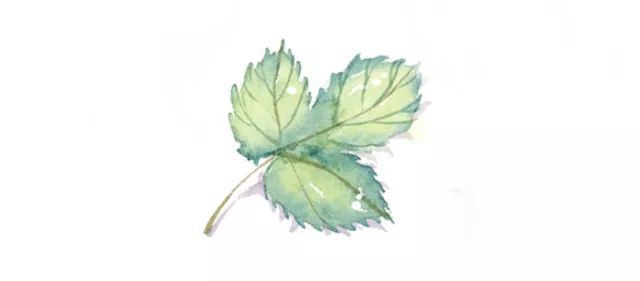 碳纖維材料的耐久性測試（碳纖維材料耐久性測試） 結構地下室設計 第2張