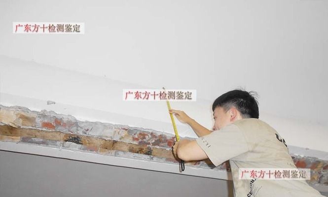 市政道路施工規(guī)范與驗收標準2020(市政道路施工規(guī)范與驗收標準2020中)