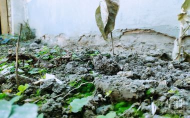 土地使用權(quán)攤銷年限如何確定？（土地使用權(quán)攤銷年限是多少土地使用權(quán)的攤銷年限是多少） 鋼結(jié)構(gòu)網(wǎng)架施工 第3張