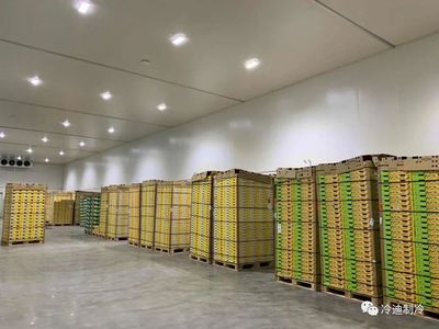 內(nèi)蒙古道路信息查詢（內(nèi)蒙古的高速公路網(wǎng)包括哪些主要路段，如何查詢具體信息） 北京鋼結(jié)構(gòu)設(shè)計(jì)問(wèn)答