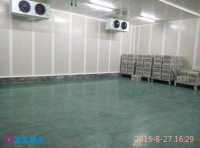 冷庫材料多少錢一平方(冷庫材料每平方價格受到多種因素的影響) 裝飾工裝設計 第2張 冷庫材料多少錢一平方(冷庫材料每平方價格受到多種因素的影響) 裝飾工裝設計 第2張