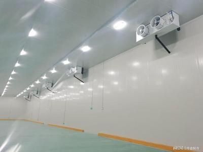 冷庫房用什么材料 裝飾幕墻設(shè)計(jì) 第4張