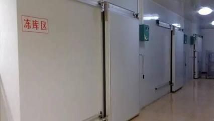 市政園林綠化工程項(xiàng)目劃分（市政園林綠化工程在設(shè)計(jì)時(shí)需要考慮哪些因素？）