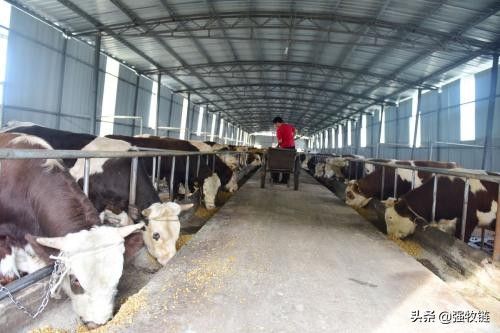 廠房結(jié)構(gòu)選材的考量因素(「沈陽(yáng)」沈陽(yáng)廠房裝修材料是怎么選擇的) 鋼結(jié)構(gòu)網(wǎng)架設(shè)計(jì) 第4張 廠房結(jié)構(gòu)選材的考量因素(「沈陽(yáng)」沈陽(yáng)廠房裝修材料是怎么選擇的) 鋼結(jié)構(gòu)網(wǎng)架設(shè)計(jì) 第4張