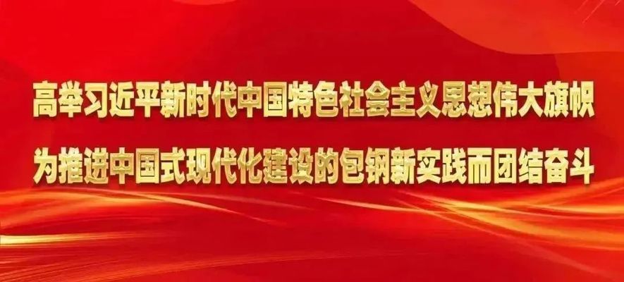 包鋼特種鋼管未來發(fā)展計(jì)劃 裝飾幕墻設(shè)計(jì) 第4張