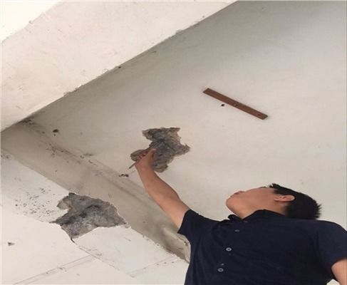 廠房建筑設(shè)計中的安全評估方法(廠房結(jié)構(gòu)安全性評估方法) 結(jié)構(gòu)框架施工 第6張 廠房建筑設(shè)計中的安全評估方法(廠房結(jié)構(gòu)安全性評估方法) 結(jié)構(gòu)框架施工 第6張