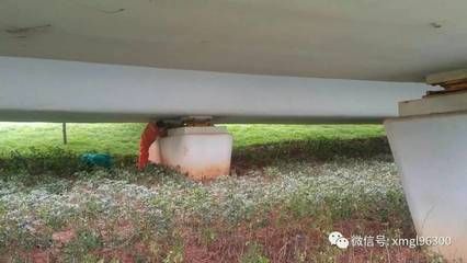 如何提高包鋼板加固的耐久性（包鋼板加固后如何進(jìn)行質(zhì)量檢測） 結(jié)構(gòu)框架施工 第5張