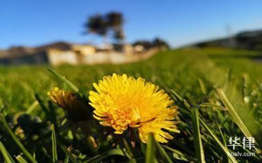 小區(qū)房子改造犯法什么法(小區(qū)房子改造可能涉及的法律問題) 結(jié)構(gòu)橋梁鋼結(jié)構(gòu)施工 第1張 小區(qū)房子改造犯法什么法(小區(qū)房子改造可能涉及的法律問題) 結(jié)構(gòu)橋梁鋼結(jié)構(gòu)施工 第1張