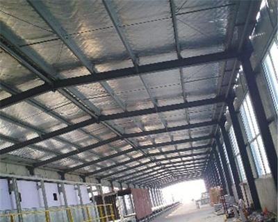 新標(biāo)準(zhǔn)鋼結(jié)構(gòu)防火涂料施工（鋼結(jié)構(gòu)防火涂料施工常見(jiàn)問(wèn)題及解決常見(jiàn)問(wèn)題及解決）