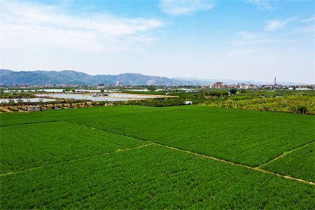 房頂加高有什么講究(屋頂加高合法審批流程詳解屋頂加高風(fēng)水講究有哪些) 建筑施工圖設(shè)計(jì) 第2張 房頂加高有什么講究(屋頂加高合法審批流程詳解屋頂加高風(fēng)水講究有哪些) 建筑施工圖設(shè)計(jì) 第2張